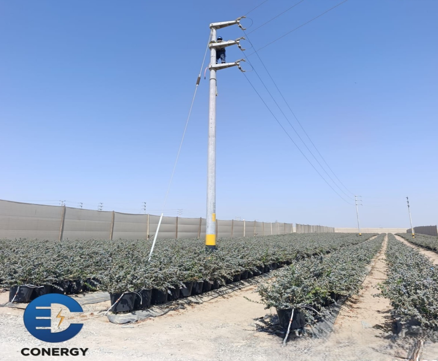 Proyectos AGROINDUSTRIALES